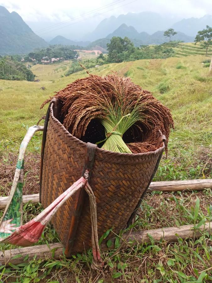 Willa Puluong Bamboo Huong Ba Thuoc Zewnętrze zdjęcie